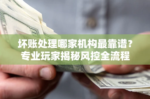武汉坏账处理哪家机构最靠谱？专业玩家揭秘风控全流程