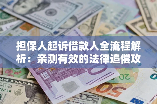 武汉担保人起诉借款人全流程解析：亲测有效的法律追偿攻略
