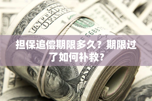 武汉担保追偿期限多久？期限过了如何补救？