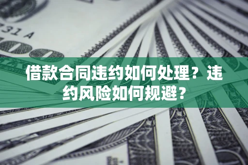 武汉借款合同违约如何处理？违约风险如何规避？