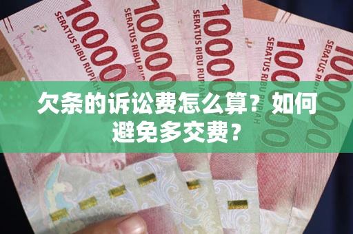 武汉欠条的诉讼费怎么算？如何避免多交费？