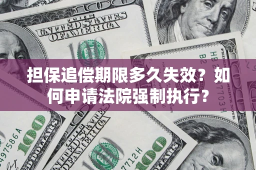 武汉担保追偿期限多久失效？如何申请法院强制执行？