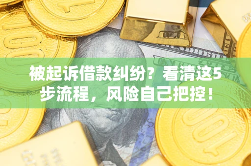 武汉被起诉借款纠纷？看清这5步流程，风险自己把控！