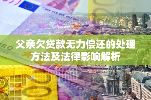 武汉父亲欠贷款无力偿还的处理方法及法律影响解析
