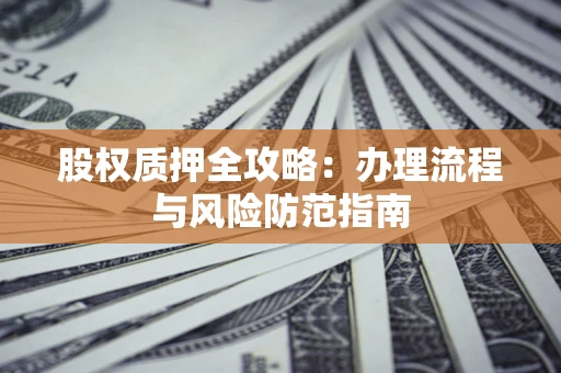 武汉股权质押全攻略：办理流程与风险防范指南